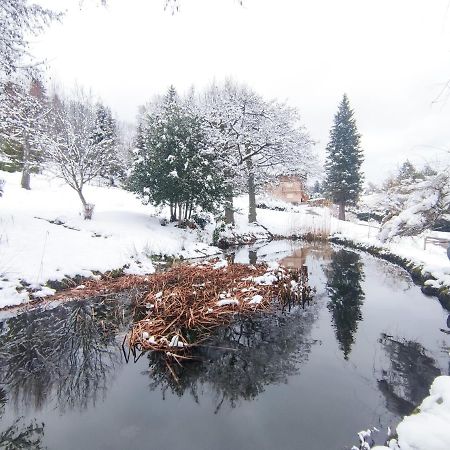 Le Manoir Au Lac Gérardmer Exteriér fotografie