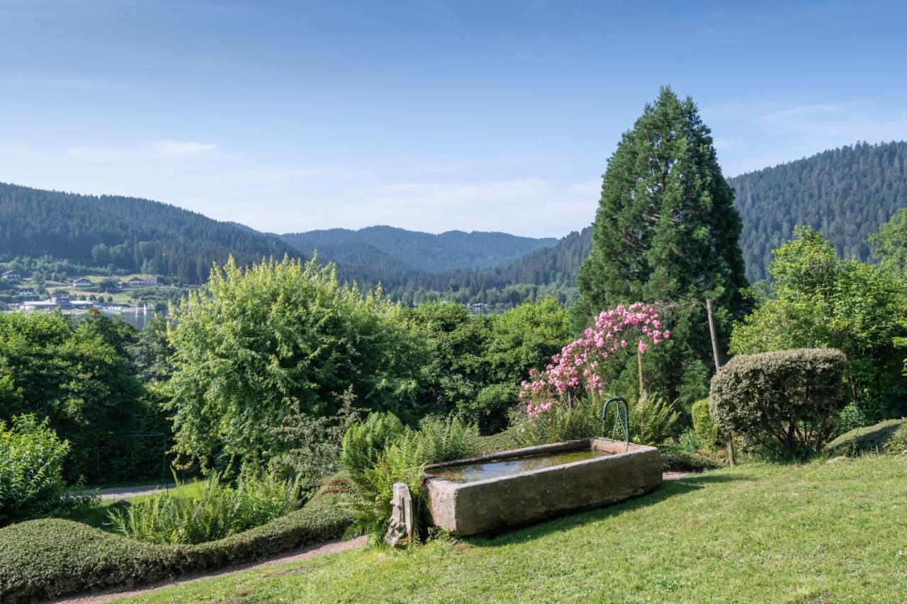 Le Manoir Au Lac Gérardmer Exteriér fotografie