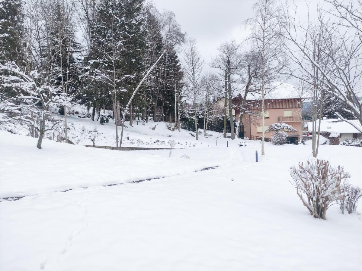 Le Manoir Au Lac Gérardmer Exteriér fotografie