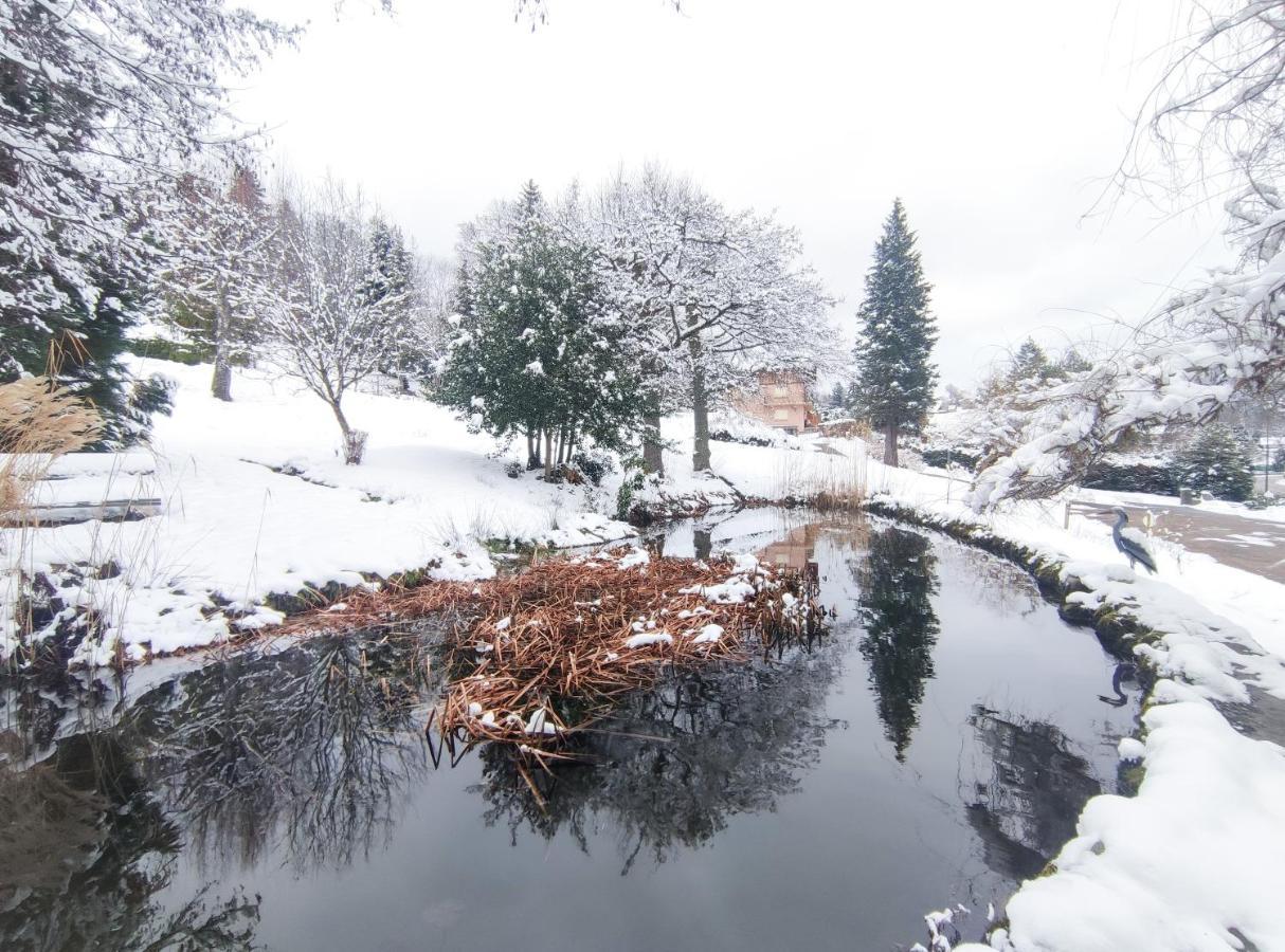 Le Manoir Au Lac Gérardmer Exteriér fotografie